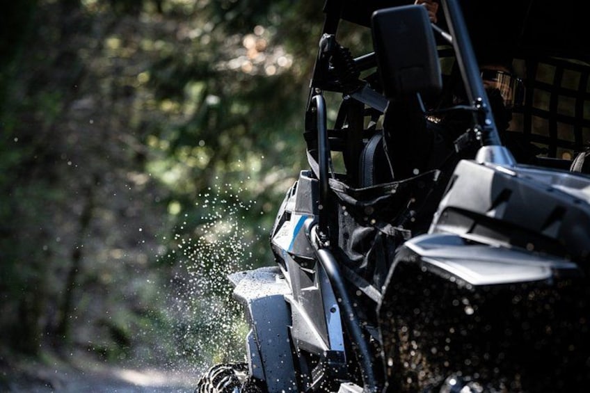 A vehicle with a visible exhaust, surrounded by a forested area. 5
