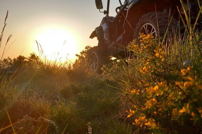 A quad bike in a grassy field with a sunset in the background. 4