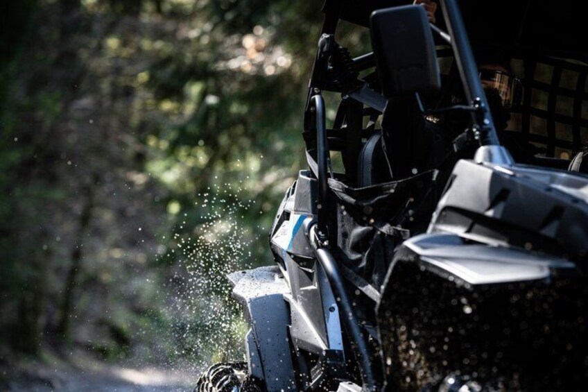 Buggy Tour in Serra da Lousa 2Hours Buggy 4 places 5