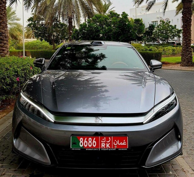 Un coche negro estacionado en una carretera asfaltada, con palmeras y follaje verde al fondo. 1