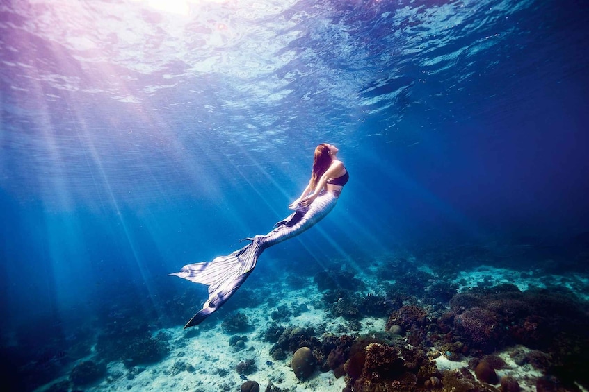 Picture 2 for Activity Amorgos: Mermaid Experience in Aegiali Bay with Instructor 2