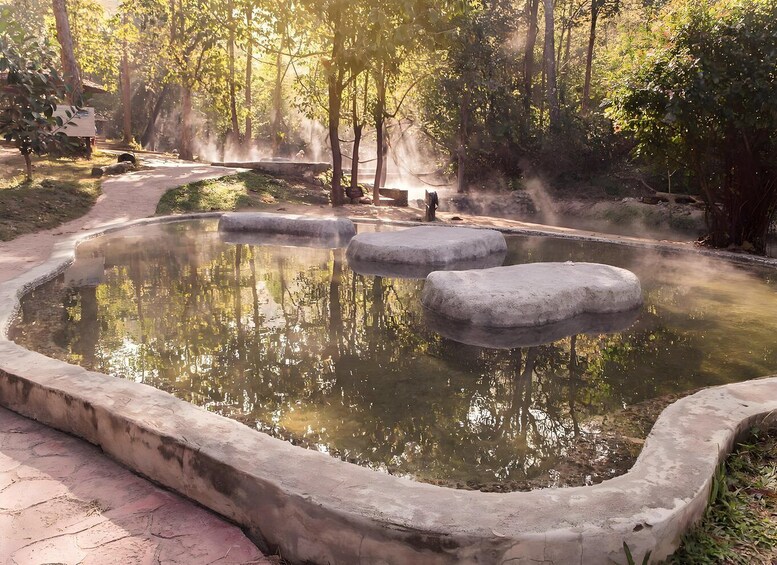 A natural hot spring surrounded by trees and a stone pathway. 4
