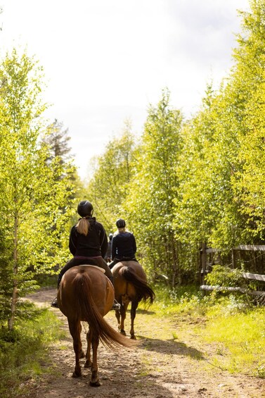 Picture 1 for Activity Ruka-Kuusamo: Finnhorse Ride for Beginners at Ronivaara Farm 5