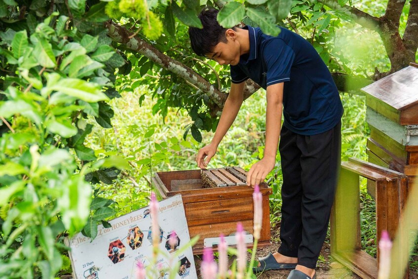 A person tending to a beehive in a garden. 5