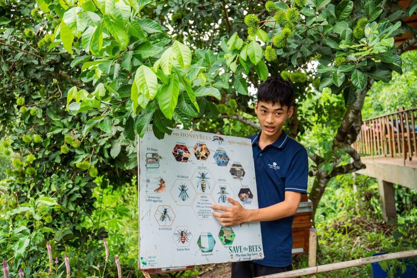 A person holding a poster with information about bees, including a diagram of a beehive and text about bee behavior. 3