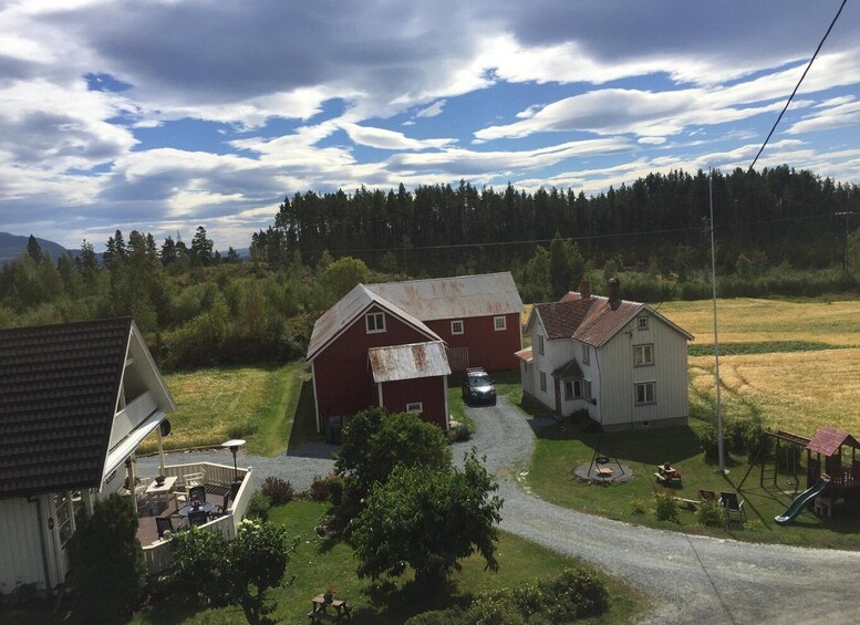 Picture 1 for Activity Be a Farmer for a Day - Regenerative Farm Experience Norway 3