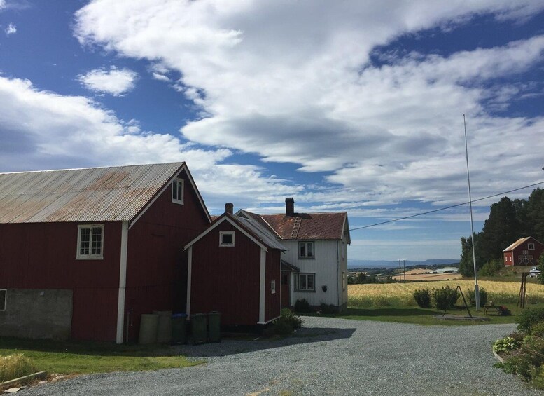 Picture 2 for Activity Be a Farmer for a Day - Regenerative Farm Experience Norway 2