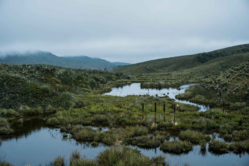 Picture 4 for Activity Chingaza – Moors, Land, and Tradition 4
