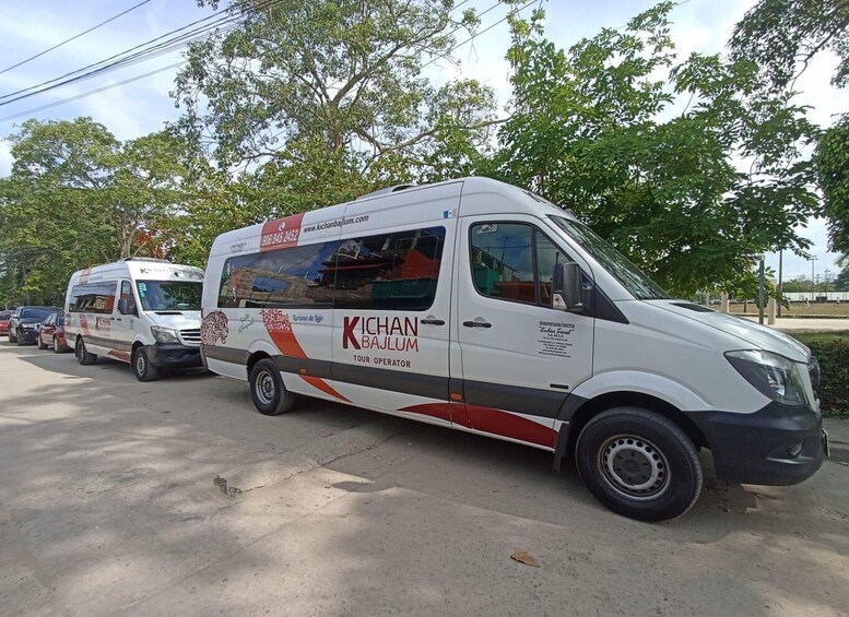 Picture 2 for Activity Palenque: Transfer to the Mayan train station 3