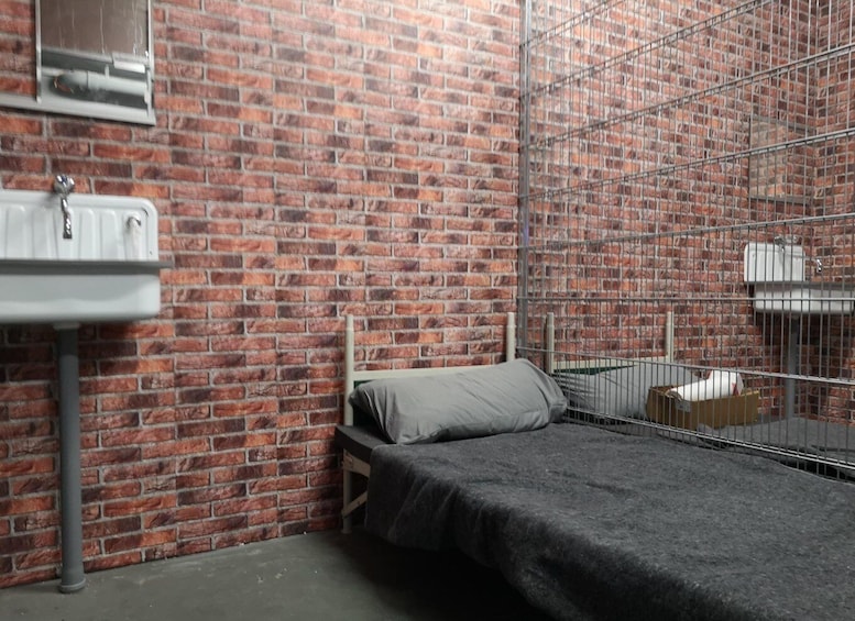 A room with a brick wall, a metal bed frame, a gray mattress, a white sink, and a metal cage. 1