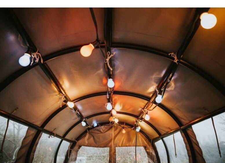 A tent interior with a curved ceiling and string lights. 3
