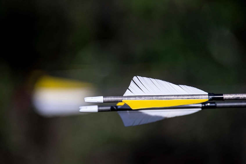 A close-up of a dart with a yellow and white fletching, resting on a black shaft. 1