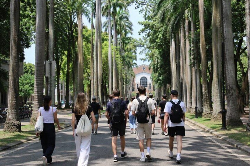 A group of people walking down a tree-lined street. 1