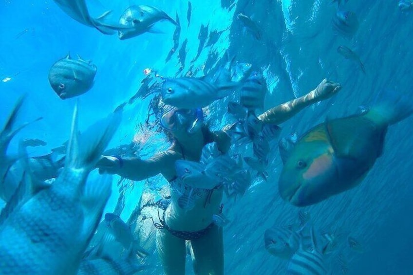 Hurghada Premium Hula Hula Island Cruise with Lunch and Transfers 4