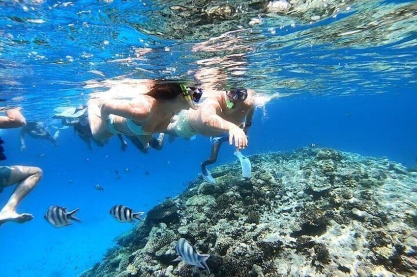 Hurghada Premium Hula Hula Island Cruise with Lunch and Transfers 5