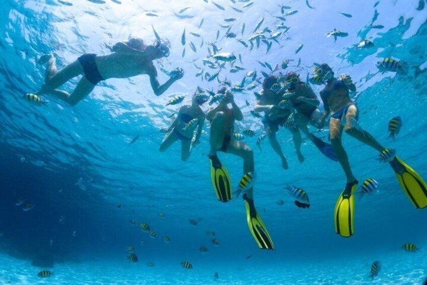 Hurghada Premium Hula Hula Island Cruise with Lunch and Transfers 2