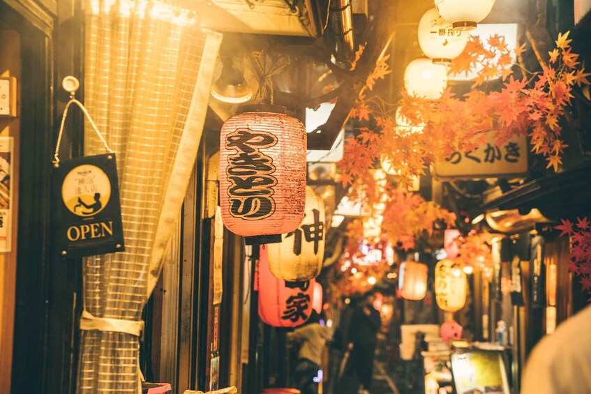A street with traditional Japanese lanterns and signs, indicating a cultural or commercial area. 4