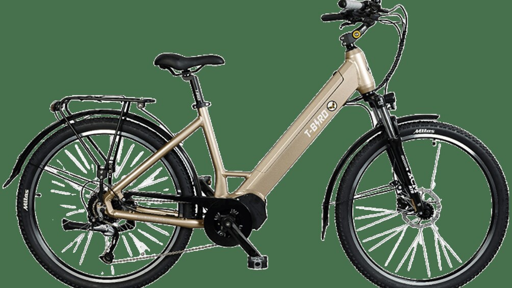 Picture 2 for Activity Seaside discovery from Chatelaillon to La Rochelle by electric bike 2