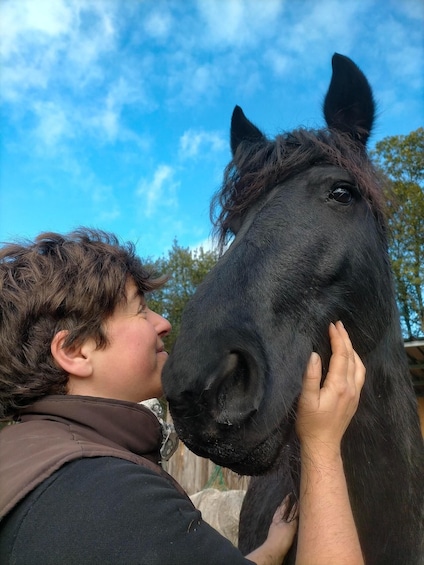 Picture 1 for Activity A Coruña: Meet the Wild Horses in Nature 1