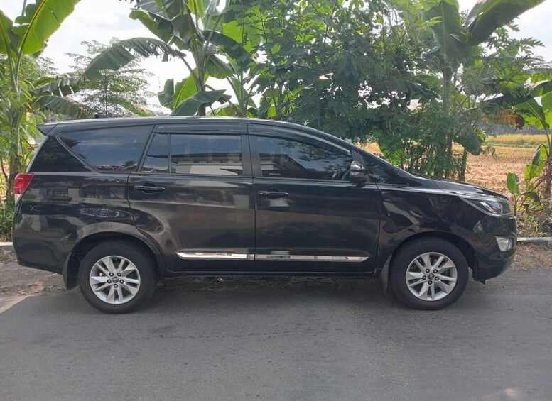 A black SUV parked on a paved road with banana trees and a field in the background. 5