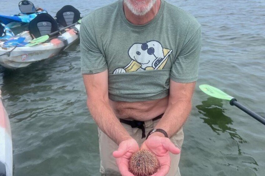 Emerson Point Kayak Tour 2