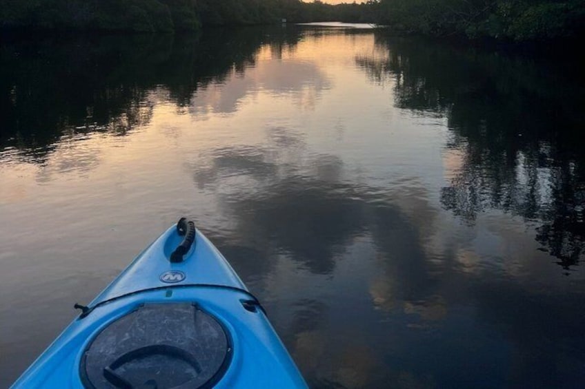 Emerson Point Kayak Tour 5