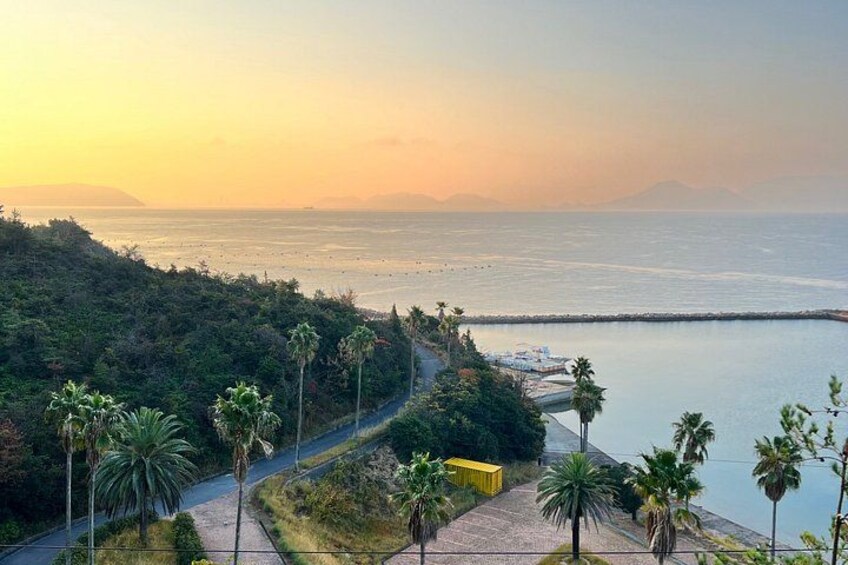 A coastal landscape with a road, palm trees, and a beach. 5