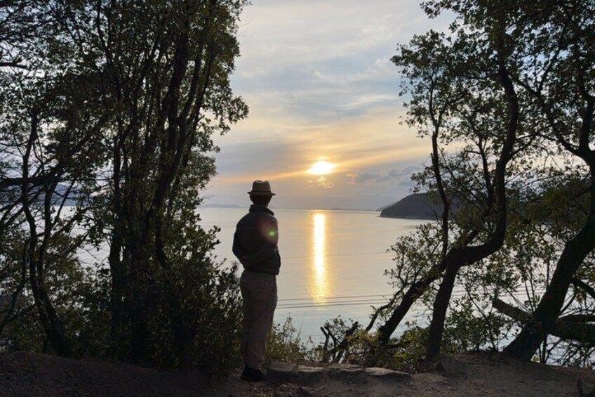 Hidden Naoshima Art Tour Insight from Former Benesse House Staff 5