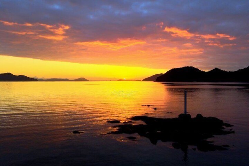 Hidden Naoshima Art Tour Insight from Former Benesse House Staff 4