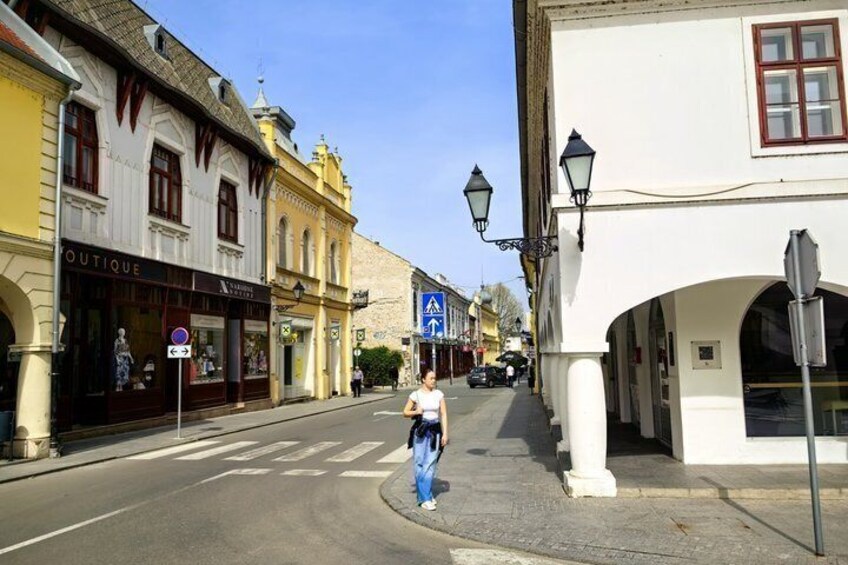 Custom Guided Tours of Vukovar History Culture and Cuisine 1