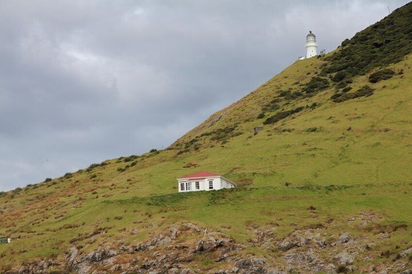 Cape Brett Lighthouse 2