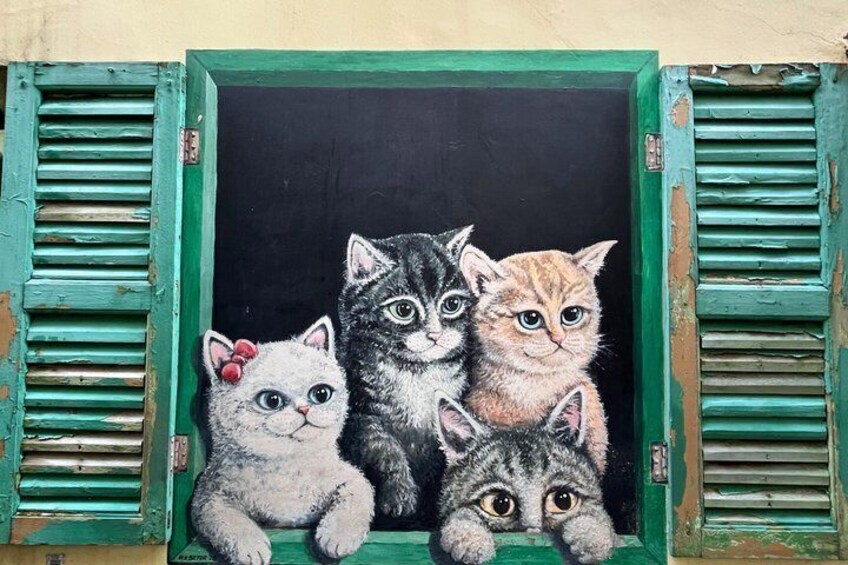 A window with four kittens. 5