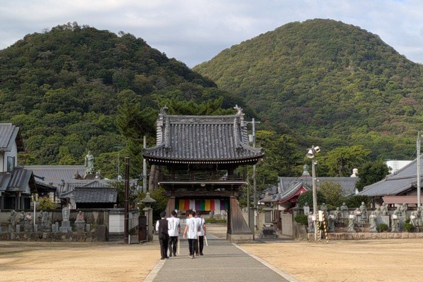 A traditional Japanese gate with a mountain backdrop. 3