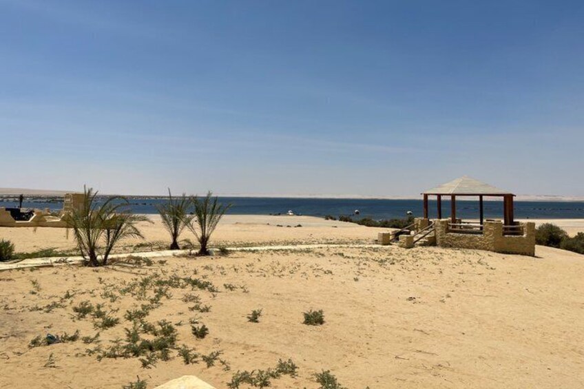 El Fayoum Oasis Day Tour 2