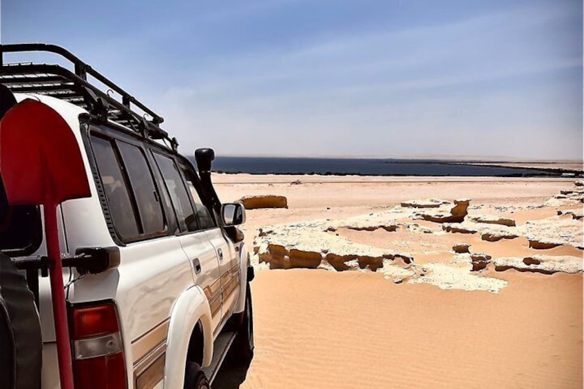 El Fayoum Oasis Day Tour 1