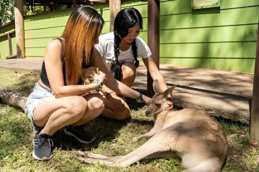 Two people sitting on grass, one holding a kangaroo. 2
