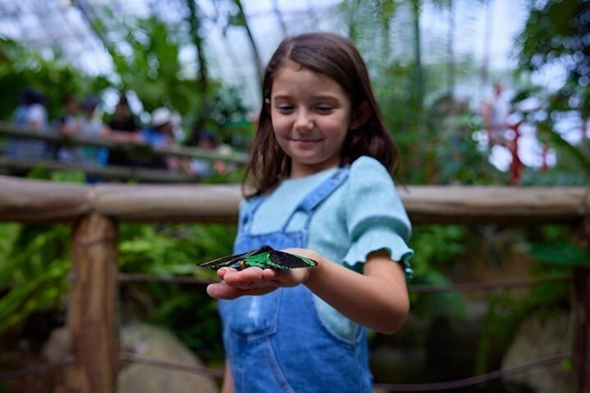 A person holding a butterfly. 1
