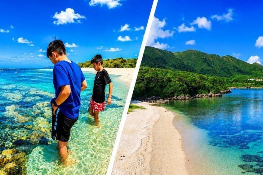 Private Family with Kids Ishigaki Tour 5