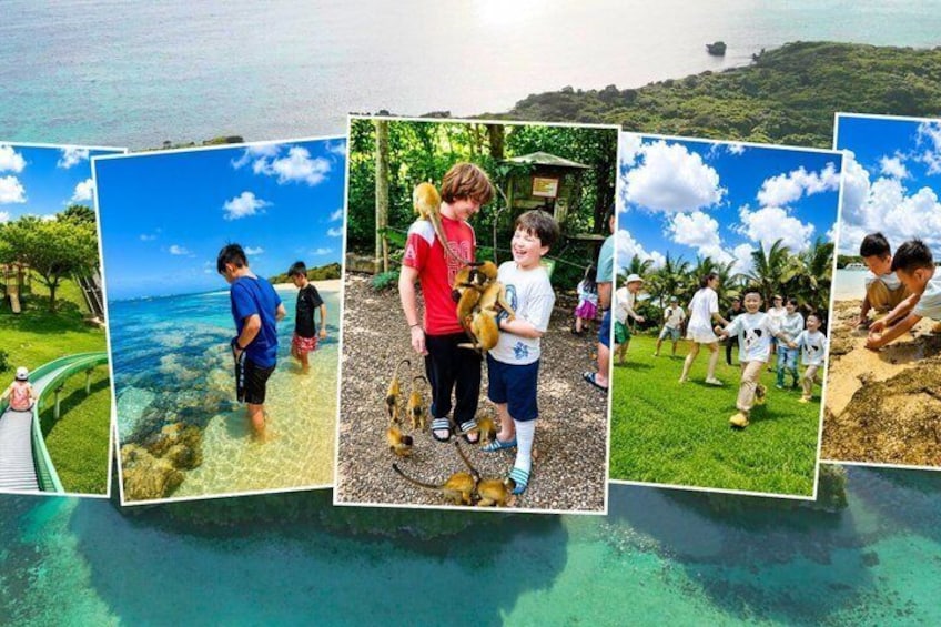 Private Family with Kids Ishigaki Tour 1
