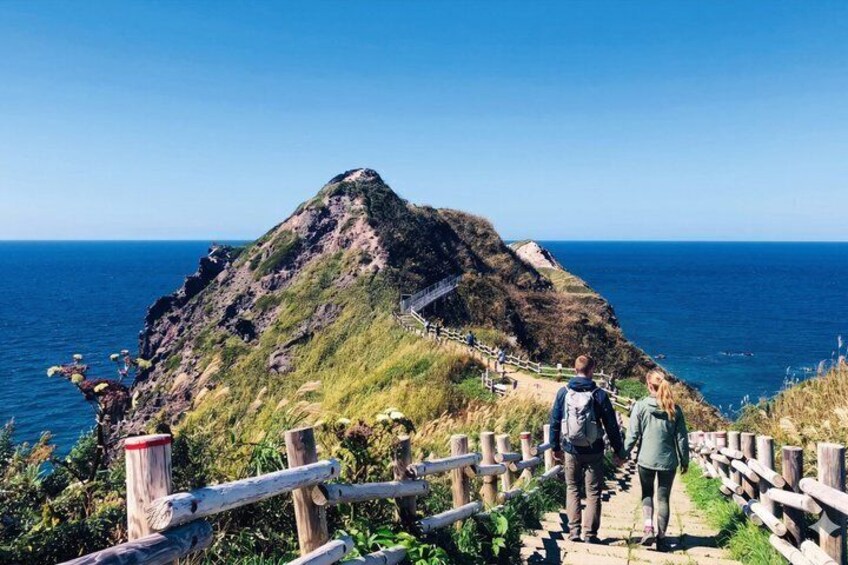 Hokkaido Shakotan Blue Coast Yoichi Distillery and Otaru Day Trip 1