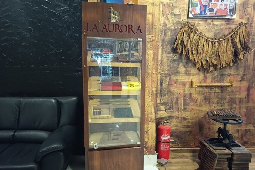 A wooden display case labeled 'LA AURORA' with various items inside, a black leather couch, a fire extinguisher, and a wall-mounted shelf with dried leaves. 4