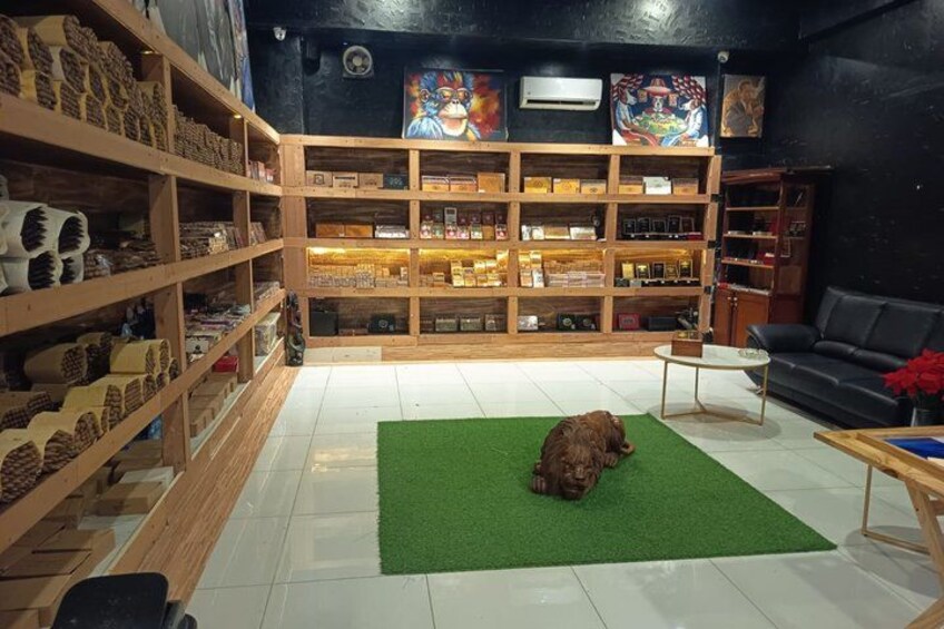 A dog lying on a green mat in a room with wooden shelves filled with items. 3