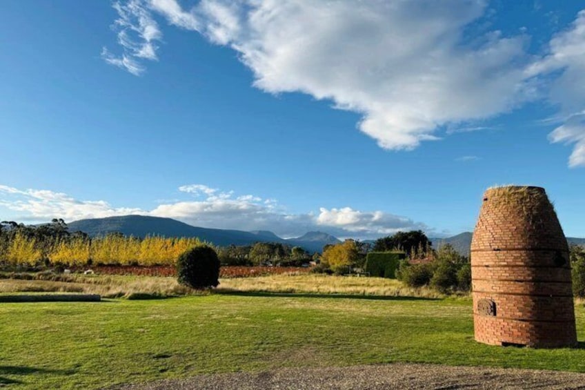 From Hobart Huon Valley Ciders AirWalk and Hastings Cave 2