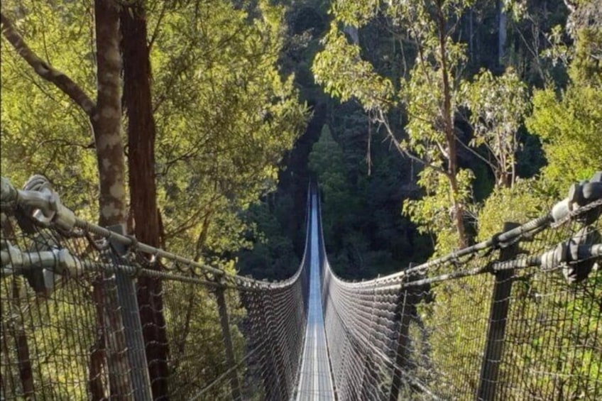 From Hobart Huon Valley Ciders AirWalk and Hastings Cave 1
