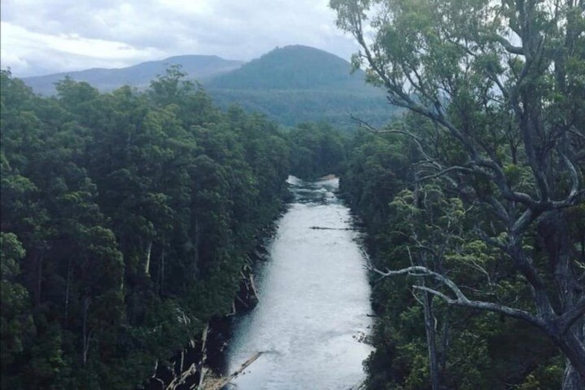 From Hobart Huon Valley Ciders AirWalk and Hastings Cave 3