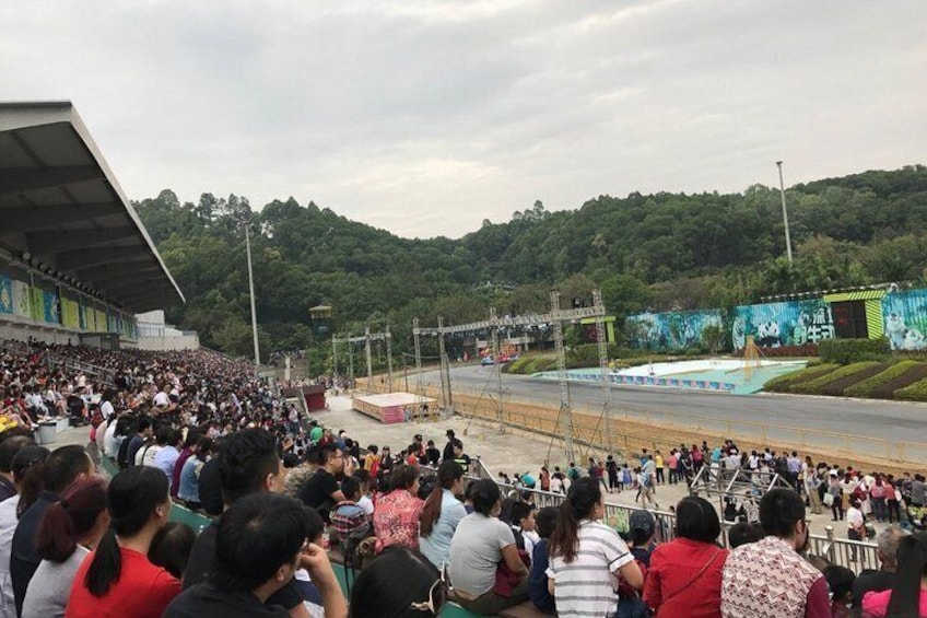 Shenzhen Wildlife Safari Park Ticket 3