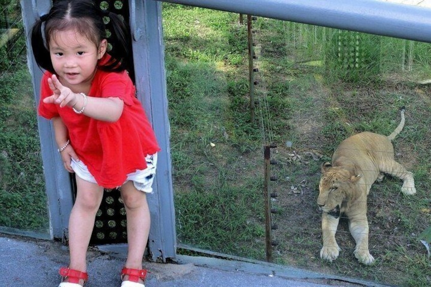 Shenzhen Wildlife Safari Park Ticket 1