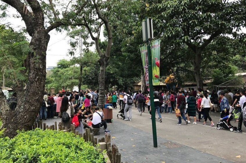 Shenzhen Wildlife Safari Park Ticket 4