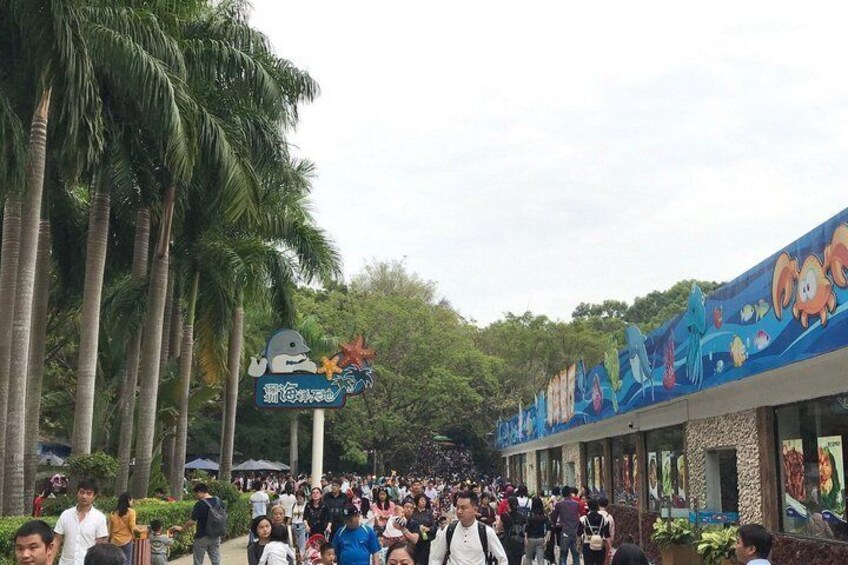 Shenzhen Wildlife Safari Park Ticket 5