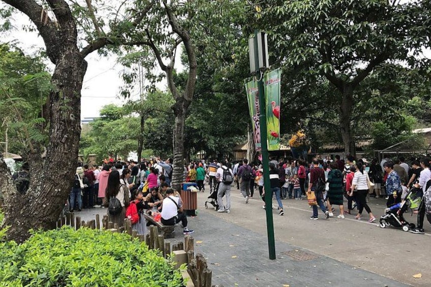 Un parque concurrido, con gente caminando y sentada en bancos. 4